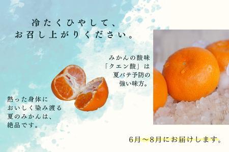 『先行予約』【令和8年6月より順次発送】夏の極上ハウスみかん「夏織」2.5kg 手提げ箱入り～海と空と、みかん～甘くてとろける夏の果物 ミカン フルーツ 柑橘 ギフト