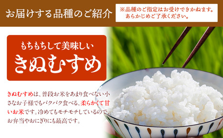 【12ヶ月定期便】ありがとう園の白米 20kg