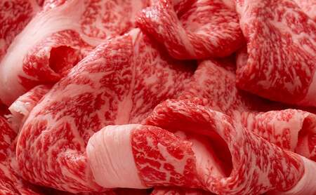 【ふるさと納税】美水牛 贅沢 切落し ( 400ｇ ( 200ｇ×2 ) ) 牛肉 冷凍品 ギフト 肉 お祝い 但馬牛 神戸牛 三田牛 数量限定 訳あり ふるさと納税 ふるさと 人気 おすすめ 送料無料 兵庫県 三田市 [3d28bae590011]