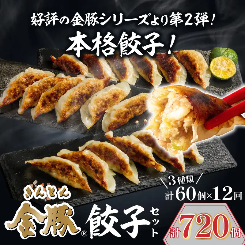 【定期便 全12回】金豚餃子セット（香港餃子・しそ餃子・にら餃子　1パック10個入×各2パック） ぎょうざ 中華 餃子