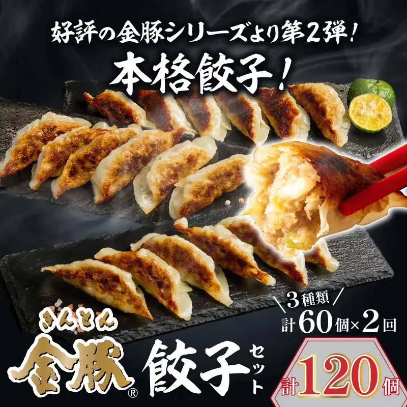 【定期便 全2回】金豚餃子セット（香港餃子・しそ餃子・にら餃子　1パック10個入×各2パック） ぎょうざ 冷凍餃子 おかず