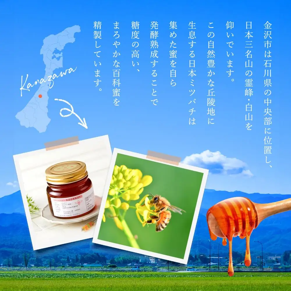 幻の日本ミツバチからの贈り物　純粋はちみつ160ｇ×２瓶　白山ひめみつ