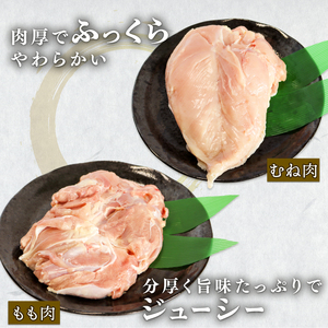 【手捌き】京田舎どり若様 1kg 国産 若鶏 鶏肉 京都