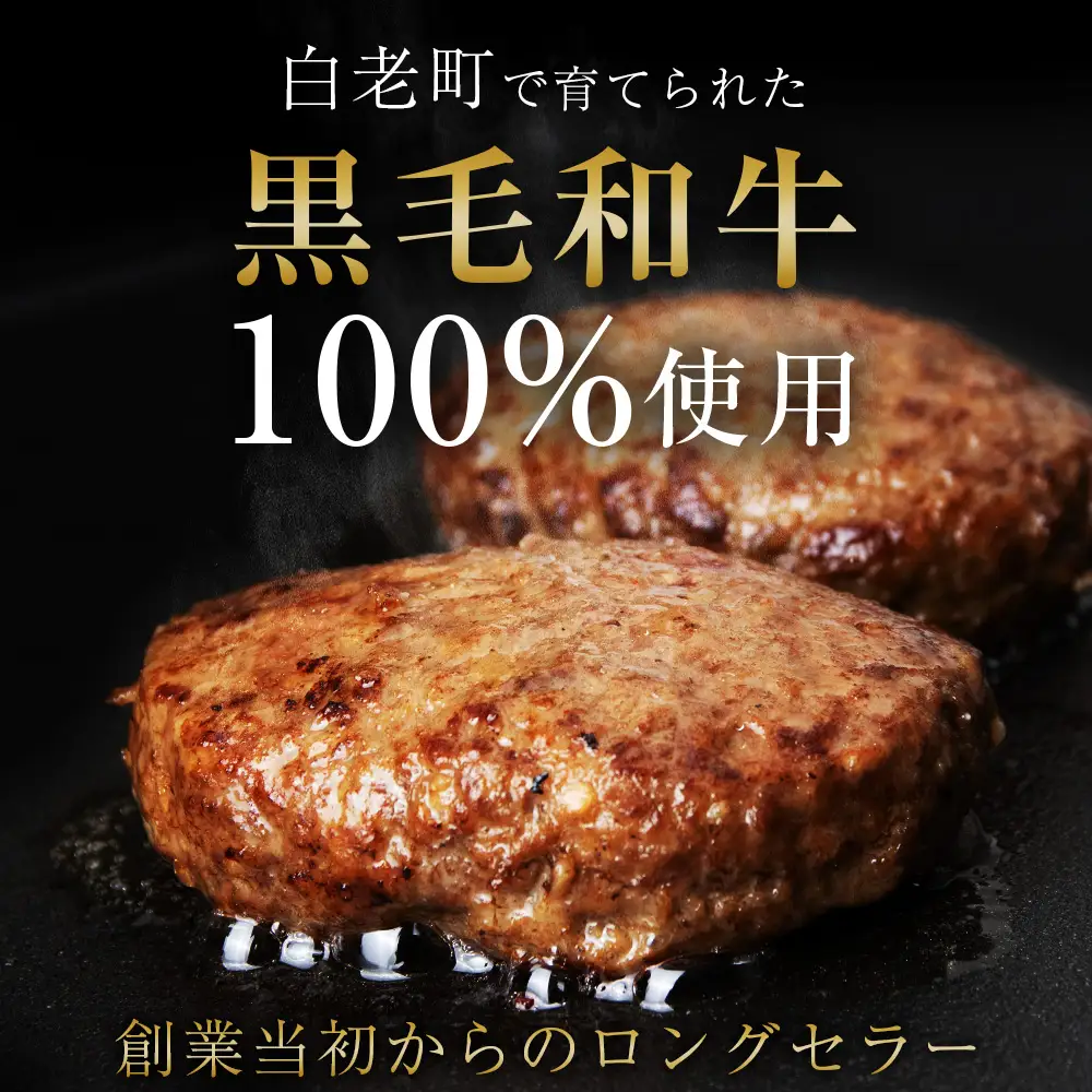いわさき黒毛和牛 創業ハンバーグ 120g×10個 AB022