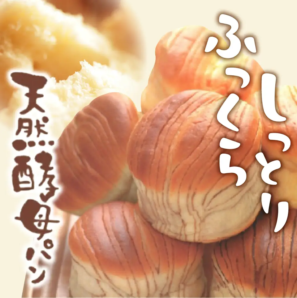 デイプラス天然酵母パン　北海道クリーム・チョコレート（12個入り×2ケース）※沖縄・離島配送不可 