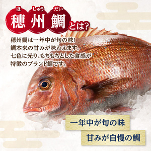 渡邉水産・海鮮定期便（6回）／ 真鯛 定期便【Z072】