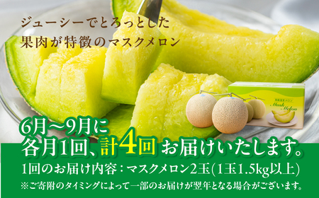 【定期便】先行予約 マスクメロン 4回定期便 2玉 2026年6月スタート マルカ農園