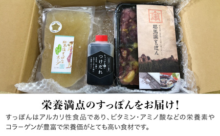 耶馬溪すっぽん鍋セット ( 2人前 ) スープ ・ つけだれ 付き | すっぽん 料理 コラーゲン エキス 肉 大分県 中津市