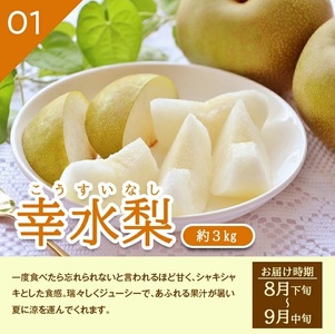 SE0509　【3回定期便】酒田産 特選 和梨3種味比べ定期便2026 (幸水梨、豊水梨、和梨〔品種おまかせ〕/各約3kg)