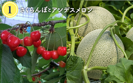 【令和8年度発送】晩夏 夏からの詰め合わせ フルーツ定期便 3回 FSY-2372
