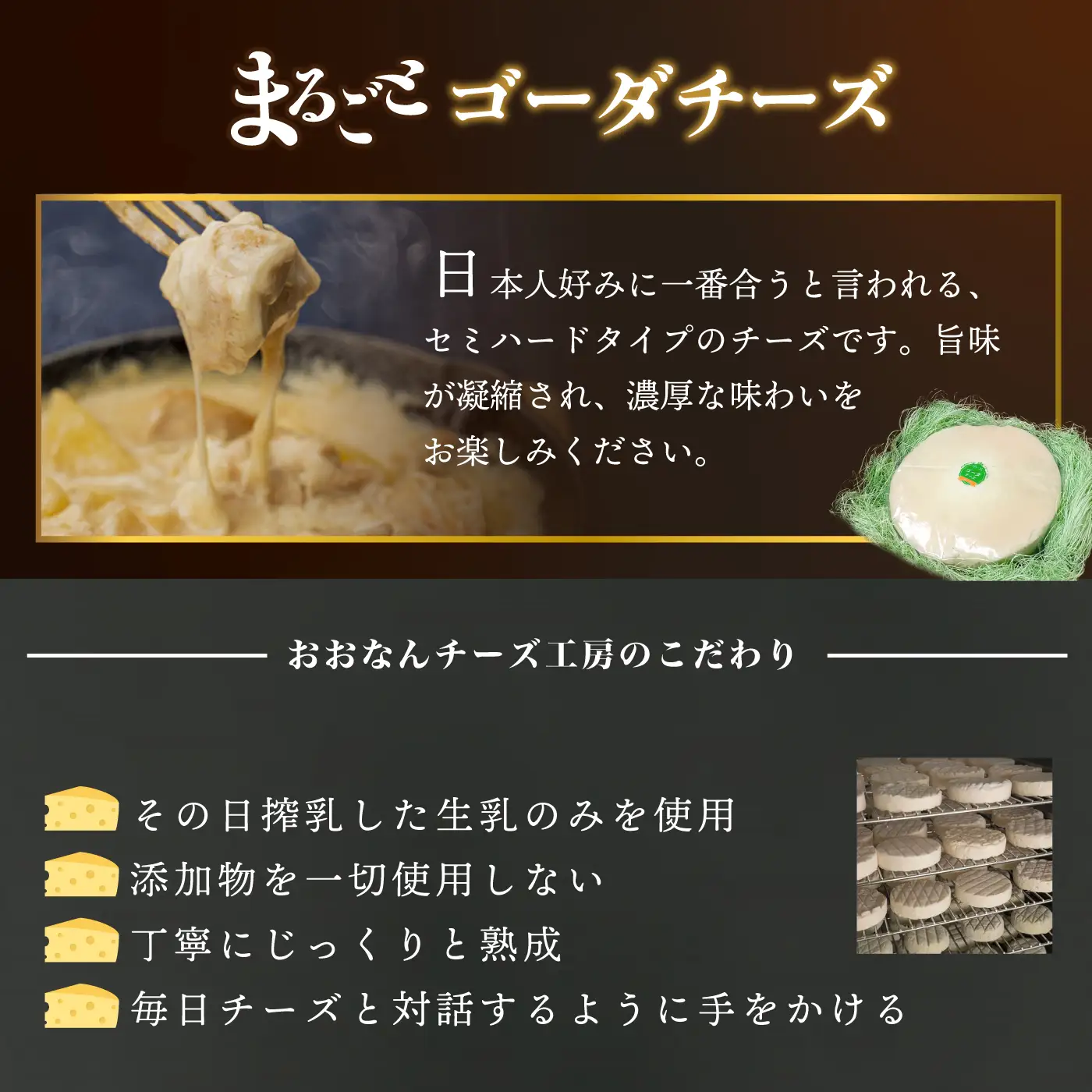 まるごと ゴーダチーズホール (8kg×2個)