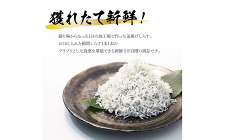 高知県産釜揚げしらす 50g×24パック 