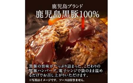 K-117 鹿児島黒豚ハンバーグ(100g×6個)【九面屋】霧島市 国産 鹿児島県産 豚肉 黒豚 ハンバーグ レンジ 小分け 黒豚100%