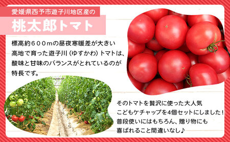 ＜人気No.1！トマト6個がギュギュッと詰まった こどもケチャップ 4個セット 添加物不使用＞ とまと 無添加 完熟 調味料 子供 パスタソース 詰め合わせ ギフト 食べて応援 国産 遊子川ザ・リコピンズ 愛媛県 西予市【常温】『最短10営業日以内に発送予定』 SYR0003