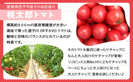 ＜ちょっぴりピリ辛で大人も満足！大人ケチャップ 4個セット＞ とまと 野菜 完熟 柚子胡椒 こしょう 調味料 辛口 パスタソース チリソース ギフト 贈り物 食べて応援 国産 特産品 遊子川ザ・リコピンズ 愛媛県 西予市【常温】『最短10営業日以内に発送予定』 SYR0004