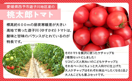 ＜親子で使える こども＆大人ケチャップ 食べ比べセット 合計4個（各種2個）＞ とまと 野菜 完熟 調味料 子供 パスタソース 辛口 詰め合わせ ギフト 食べて応援 国産 特産品 遊子川ザ・リコピンズ 愛媛県 西予市【常温】『最短10営業日以内に順次発送予定』 SYR0005