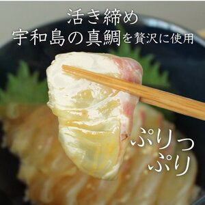 愛媛県産 宇和海鯛めし 2人前 × 2パック ( 4人前 ) 宇和島風 鯛めし 愛媛 松山 グルメ 魚 鯛 ごはん 鯛めし 鯛めし 鯛めし【IM006】