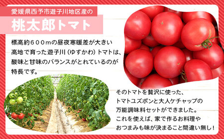 ＜お料理の決め手！何にでも合う トマト調味料セット（トマトユズポン・大人ケチャップ 各1個）＞ とまと 野菜 ゆず ポン酢 完熟 調味料 詰め合わせ ギフト 食べて応援 国産 特産品 遊子川ザ・リコピンズ 愛媛県 西予市【常温】『最短10営業日以内に発送』 SYR0006