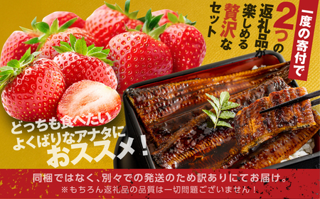 幻の青うなぎ＆いちごセット  食感・風味全てに自信のある最高のうなぎ | 鰻 ウナギ ふっくら うなぎ