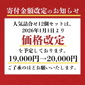 行列店のジェラート 人気のフレーバーセット 12個 ジェラート