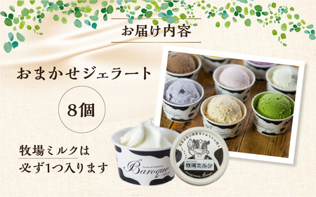 訳ありおまかせセット　8個