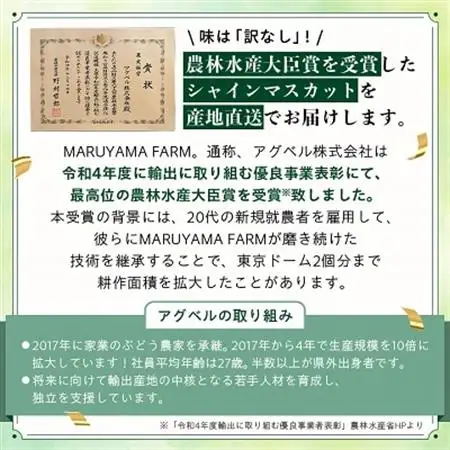 【2026年発送】【訳あり】シャインマスカット 2～3房 1kg以上_甘いシャインマスカット あまいシャインマスカット 美味しいシャインマスカット おいしいシャインマスカット 人気のシャインマスカット 瑞々しいシャインマスカット _【配送不可地域：離島】【1456435】