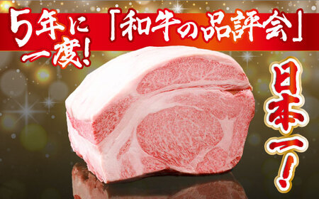 【内閣総理大臣賞受賞】長崎和牛 サーロインブロック 約3kg / ステーキ肉 サーロインステーキ / 南島原市 / 島原雲仙農業協同組合 [SES001] ステーキ すてーき サーロイン さーろいん サーロインステーキ さーろいんすてーき 和牛 わぎゅう 焼肉 焼き肉 BBQ バーベキュー 牛肉 ぎゅうにく 100000 100000円 10万円