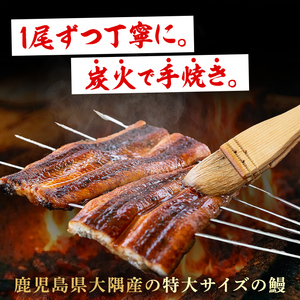 東串良町のうなぎ炭火蒲焼(無頭)(2尾・計約320g・タレ、山椒付) うなぎ 高級 ウナギ 鰻 国産 蒲焼 蒲焼き たれ 鹿児島 ふるさと 人気【アクアおおすみ】【0174319a】