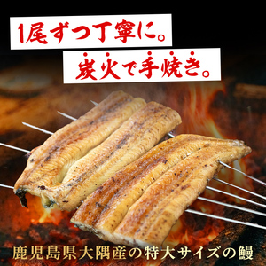 東串良町のうなぎ炭火白焼(無頭)(2尾・計約300g・タレ、山椒付) うなぎ 高級 ウナギ 鰻 国産 白焼き 鹿児島 ふるさと 人気【アクアおおすみ】【0174320a】