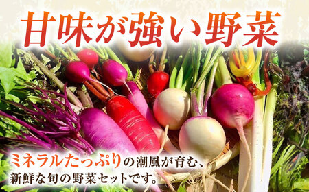 【全12回定期便】野菜セット（5~7品目）  [AKCE004]　野菜詰め合わせ
