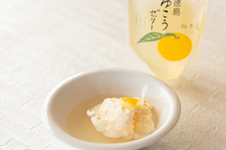徳島ゆこうゼリー10個 【ゆこう ゆず ダイダイ 果実 果汁 ゆこう果汁 酸味 ゼリー デザート おやつ ゼリーセット】YA-34 
