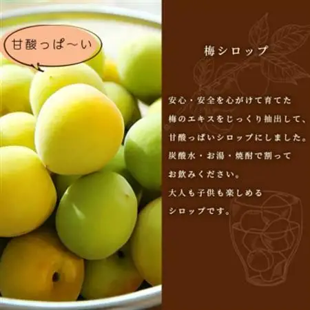 ふかざわ農園の梅シロップ 180ml×3瓶　手づくり シロップ ジュース 希釈用  A3-27_飲料・ドリンク  果汁飲料   飲料・ドリンク  ジュース _【配送不可地域：離島】【1166382】