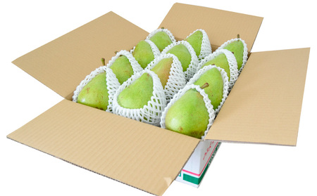 山形の洋梨 マリゲットマリーラ 秀品 約5kg(7～15玉)【令和8年産先行予約】FS23-863 くだもの 果物 フルーツ 山形 山形県 山形市 2026年産