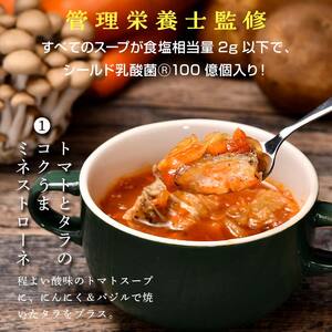 【定期便4ヶ月】具だくさん食べるスープAセット｜具沢山 スープ セット 汁物 ミネストローネ 酒粕 生姜 豚汁 黒酢 サンラータン きのこ キノコ 肉団子 和風 カレー 豆乳 ボルシチ 栄養士 ヘルシー 冷凍 レンジ ※離島への配送不可 ※着日指定不可 FAA-067