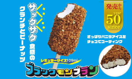 竹下製菓 ブラックモンブラン30本セット B170-016 アイス デザート 冷凍 スイーツ アイスクリーム