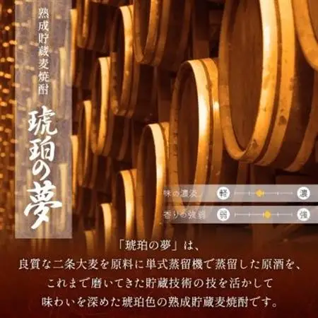 琥珀の夢25度1,800mlパック12本麦焼酎セット G5-2_酒・アルコール 麦焼酎 焼酎 _【配送不可地域：離島】【1166636】