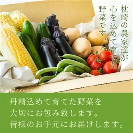 鹿児島県枕崎産旬の野菜の詰め合わせ(6～8種類) 野菜セット 国産 九州 厳選 A3-291_野菜 さつまいも いも サツマイモ 薩摩芋  野菜   _【配送不可地域：離島】【1166700】