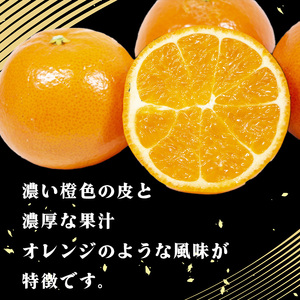 【2026年12月中旬頃から順次発送】みはや 家庭用2kg 新品種 紅いダイヤ 数量選択可 中島みかん農園｜先行予約 みかん 蜜柑 柑橘 甘い 中島 温州 数量 限定 愛媛 松山【NM0061】