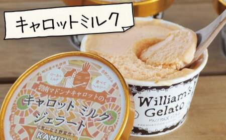 【3種のフレーバーを食べ比べ!!】だいちとつながるジェラート10個セット 映えるデザインが可愛いと話題に!! マドンナキャロット 地元野菜 甘い アイス スイーツ デザート 洋菓子 可愛い 詰め合わせ キャロットミルク フルーツサラダ ピーナッツミルク 自慢 冷たい にんじん 人参 落花生 ピーナッツ 農家 神重農産 H105-215