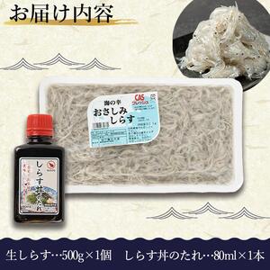 訳アリ　厳選生しらす　500g　おさしみしらす AR007
