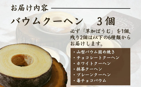 【バウムクーヘン】草加ばうむ入り3種詰め合わせ