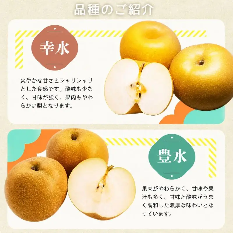 紀州和歌山産の梨 3玉 化粧箱入 ※2026年8月中旬頃〜2026年9月上旬頃に順次発送 ※日付指定不可 梨 なし ナシ 果物 くだもの フルーツ 甘い【uot787】