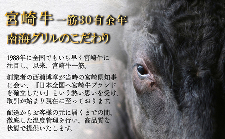 宮崎牛 A5 霜降 焼肉 セット 500g ステーキソース付き ギフト箱入り [南海グリル 宮崎県 美郷町 31bg0012]