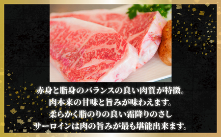 ＜網走産＞【オホーツクあばしり和牛】サーロインステーキ 260g（130g×2枚） 【 ふるさと納税 人気 おすすめ ランキング ブランド和牛 サーロインステーキ ステーキ 牛肉 北海道 網走市 送料無料 】 ABW018