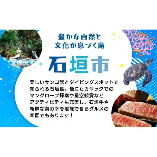 HISの沖縄県石垣市の対象ツアーに使えるふるさと納税クーポン券【3,000円分】HS-1