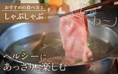 A4～A5ランク 若狭牛しゃぶしゃぶ・すき焼き用（リブロース） 約500g [B-066009] / すき焼き