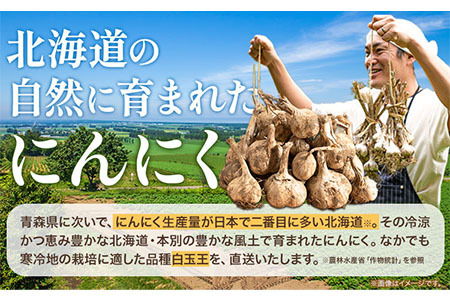 【先行予約】土付き にんにく 白玉王 1kg Mサイズ 本別町産 斎啓一《2026年8月上旬-9月末頃出荷》