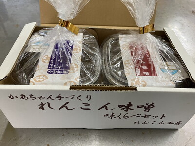 かあちゃん手づくりれんこん味噌 れんこん粉入りとれんこんペースト入りの味噌食べ比べ2個セット ※離島への配送不可