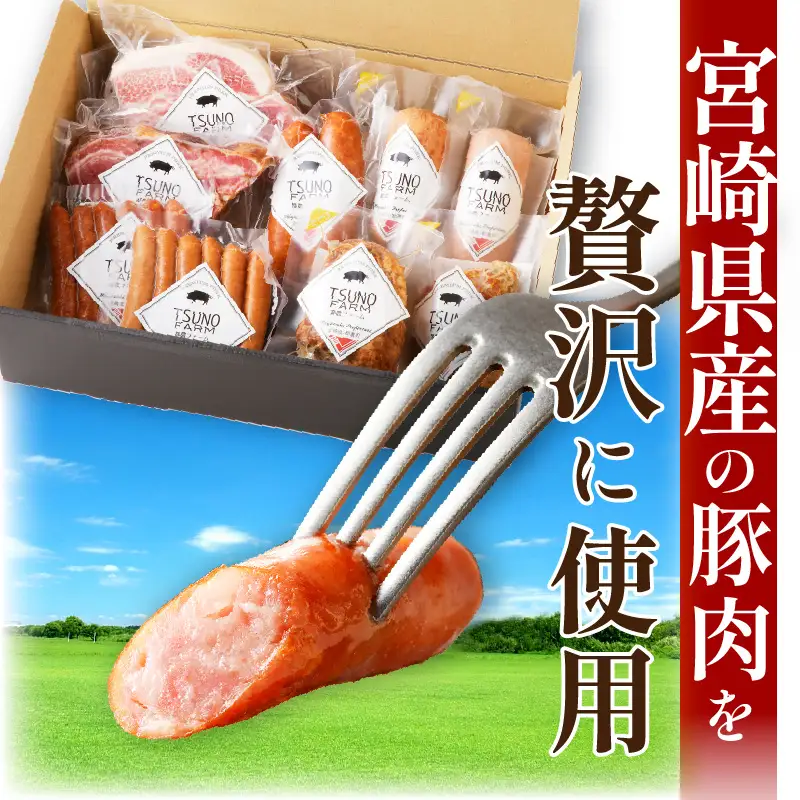 都農ファーム厳選「ウインナー・ハム9点セット」合計1.7kg以上 肉 豚 豚肉 おかず 国産_T020-0025