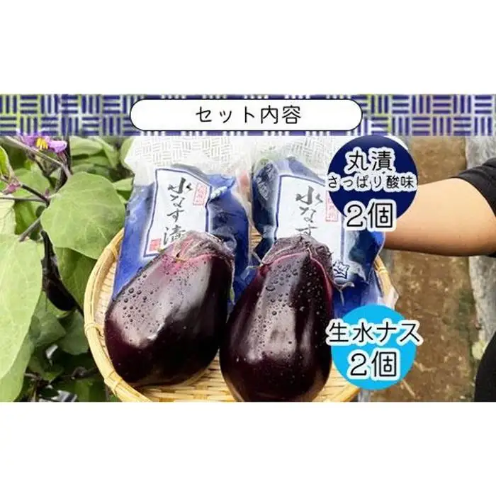水なす丸漬酸味２個＋生水なす２個